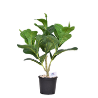 Artificial Ficus Lyrata tree 60 cm