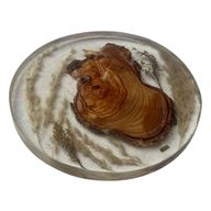 طبق للصابون