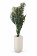 Modern Artificial Areca Plant In Luna Pot