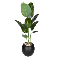 J4BVbsZ6bnzpasprtUTya2aWpV6tG13p0AweO56W.png
