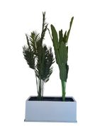Artificial Augusta & Areca Plant with Decorative Pot