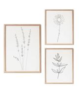 Set of 3 Line Drawing Prints