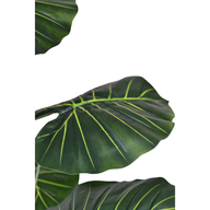 Mi3dESyyJ0UXAOLdNDBUlqE1TUXD7JuOEvanrW1k.png