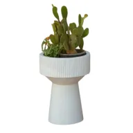 حوض زرع فايبر جيرا