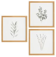 Branches Prints (Set of 3)