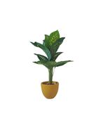 Artificial Dieffenbachia Plant with Decorative Pot
