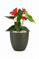 OsIly23Oz8ByGYiPg65oqB1hxngs5gjFOJLtSHHv.png