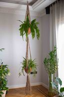 Two Level Hanging Planter
