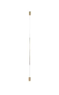 Ray Wall Light