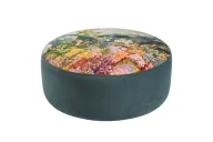 بوف لايرد فيلد