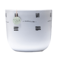 اصيص صغير باللونين الابيض و الاسود