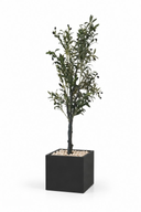 Modern Artificial Olive Tree In Cube Pot