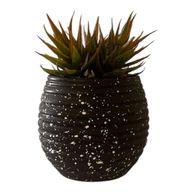 نبات النجمة الصناعي مع وعاء تيرازو