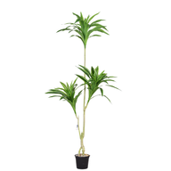 Artificial Dracaena Tree 150 cm