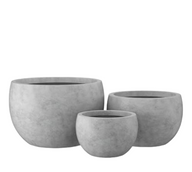 مجموعة بوت نباتات