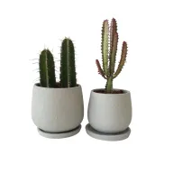 Set 2 - Outdoor Duo, Medium Size