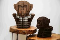 Alpha Chimpanzee Head