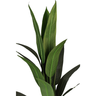 UJzfU0ZgrOHfWKDpvpwgmPGYPYQONcuHHP4R6Al3.png