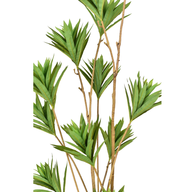 UjaPrse0p7RV1RPdnKyJb7jIpofpFjPvC7KSditJ.png