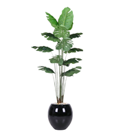 Artificial Monstera Tree with Paula Pot