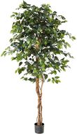 Artificial Ficus Benjamina