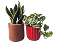 Medium Duos-Light Set 2 with Pots