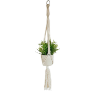 Calumba Hanging Planter