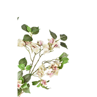 XW0g3GSz1zFkSbxBwhtl7PHjvnlC7fd9TRd5jlqH.png
