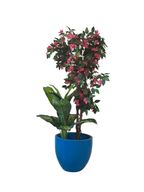 Artificial Dieffenbachia & Bougainvillea Plant with Decorative Pot