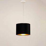 Modern Ceiling Lamp TA359