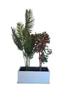 Artificial Areca & Bougainvillea Plant with Decorative Pot