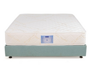 Florida Pocketed Medium