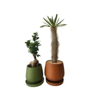 Set 5 - Outdoor Duo, Medium Size