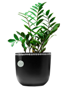 Devine black&white dots pot