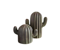 Kaktus Duo Pottery Set