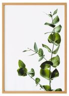 Green Leaves Print 1
