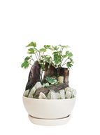 Mountain View Set with Beige Pot
