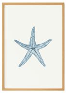 Watercolor Seastar Print