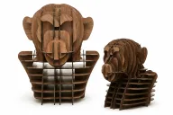 Alpha Chimpanzee Head