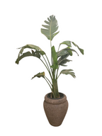 Augusta with Earthstone Rustic Brown Pot