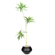 h3FppnQAt9IT6XwTyYQgIs2zYjjU8plRWz8ZRqS9.png