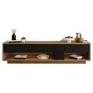 وحدة تلفزيون رينا