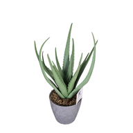 hQDrZY9j0yH9CLl987w1d4NL7n8GuUTV8pDXFnUL.png