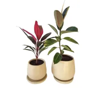 Set 4 - Outdoor Duo, Medium Size