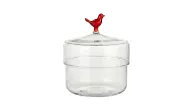 Cactus Glass Jar