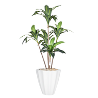 Artificial Dracaena Marginata in Terrazzo Planter