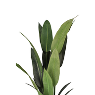 izPVgPAPdPJaXUl8ulSPjY0pSTCPRUAiYLVrOYkm.png