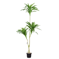 jTG03mVzEO7mrgjwwYqIa0P1UtBYHmO3sX5bQctZ.png