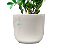 Devine Beige&White Dots Pot