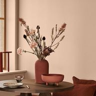 12120 Desert Pink Paint